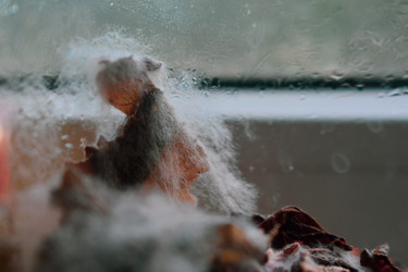 Similar image 22237268