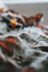 Similar image 22237269