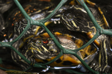 Similar image 22237270