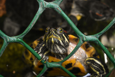 Similar image 22237271