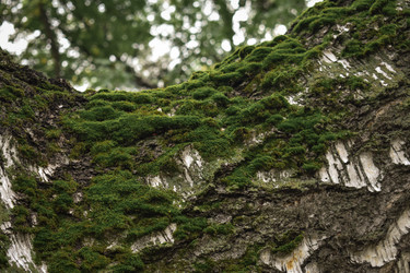 Similar image 22237273