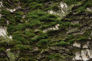 Similar image 22237274