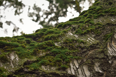 Similar image 22237275