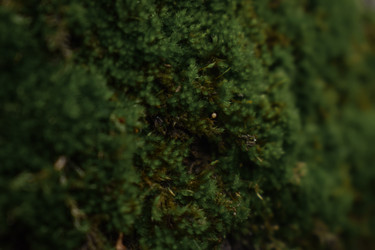 Similar image 22237277