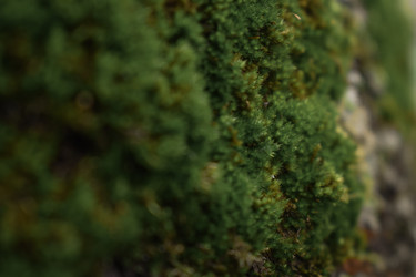 Similar image 22237278