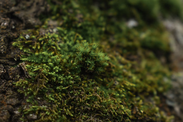 Similar image 22237279