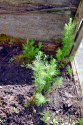 Similar image 22244443