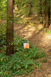 Similar image 22248229