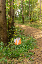 Similar image 22248231