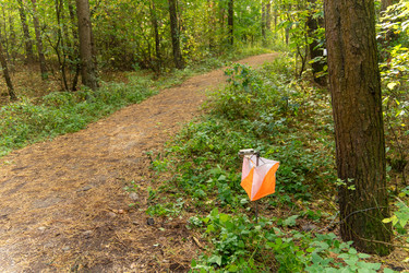 Similar image 22248249