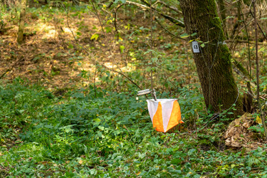 Similar image 22248251