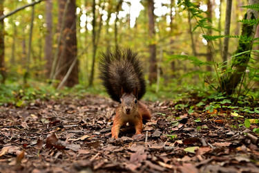 Similar image 22244945