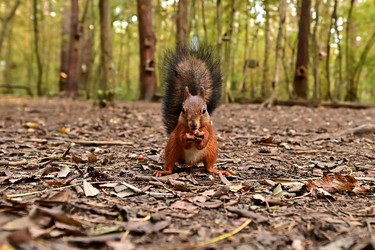 Similar image 22244946