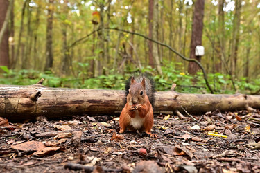 Similar image 22244947