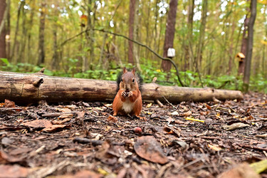 Similar image 22244948