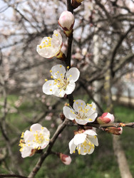 Similar image 22243740