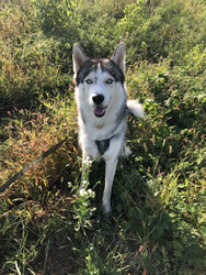 Similar image 22243741