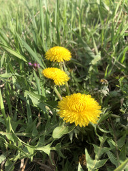 Similar image 22243742