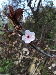 Similar image 22243743