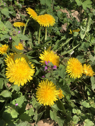 Similar image 22243744