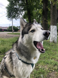 Similar image 22243746