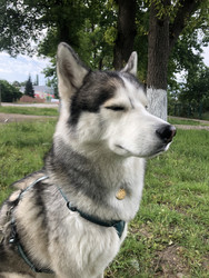 Similar image 22243747