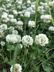 Similar image 22243748