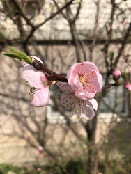 Similar image 22243749