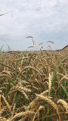 Similar image 22243751