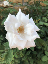 Similar image 22243752