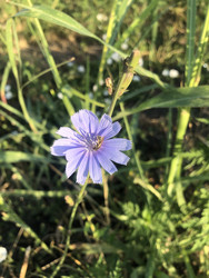 Similar image 22243753