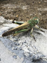 Similar image 22243754