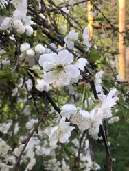 Similar image 22243755