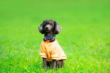 Similar image 22243281