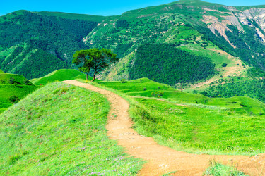 Similar image 22243918