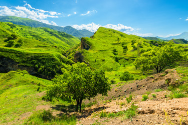 Similar image 22243929