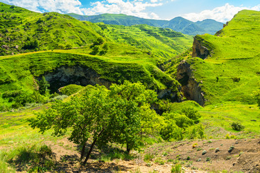 Similar image 22243930