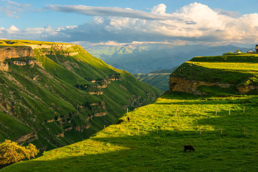 Similar image 22243935