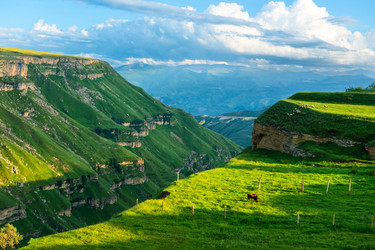 Similar image 22243936