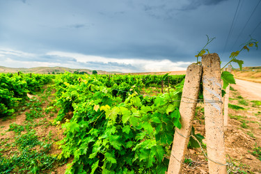 Similar image 22243958