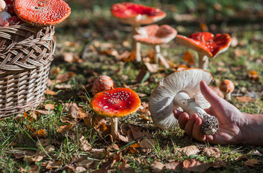 Similar image 22248471