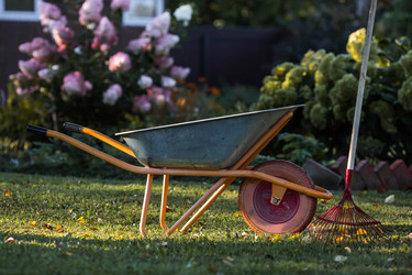 Similar image 22248472