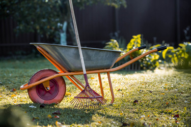 Similar image 22248475