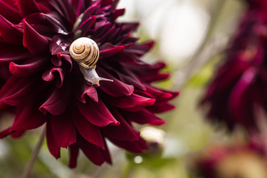 Similar image 22248478