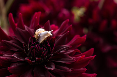 Similar image 22248479