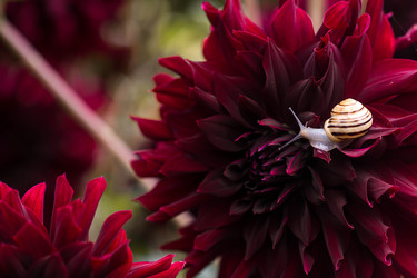 Similar image 22248480