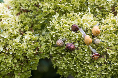 Similar image 22248481