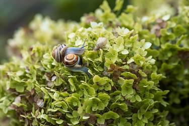 Similar image 22248482