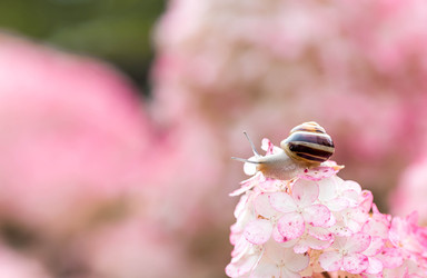 Similar image 22248483