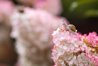 Similar image 22248484